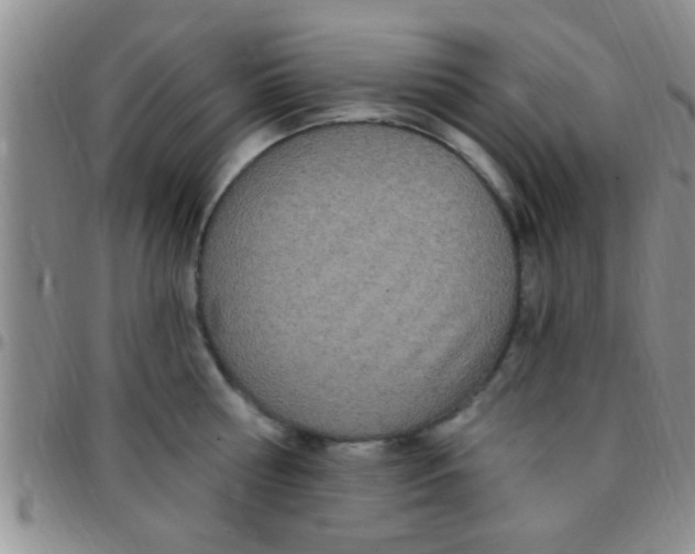 X0000097510810200803142040