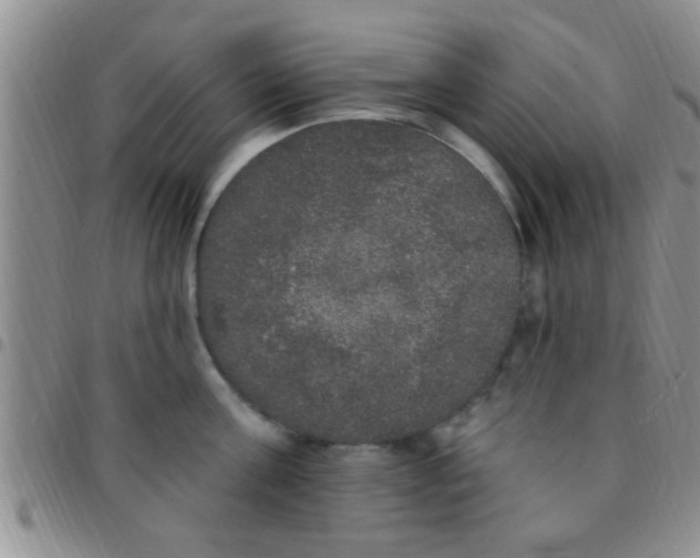 X0000097510811200803142040