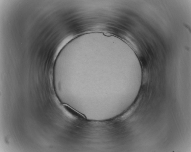 X0000097510812200803142039