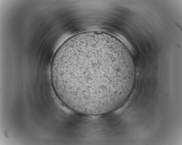 X0000097510814200803142039