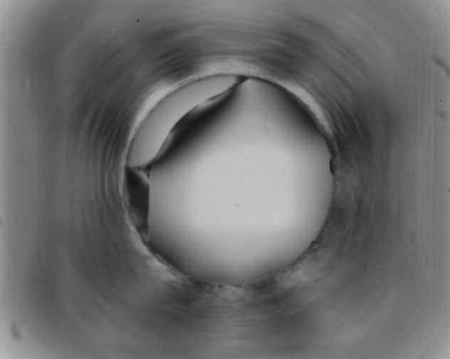 X0000097510815200803142039