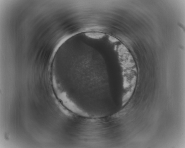 X0000097510816200803142039