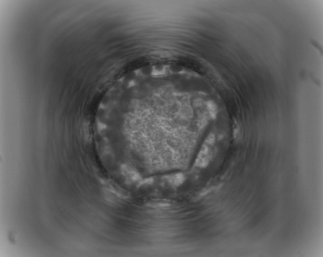 X0000097510819200803142039