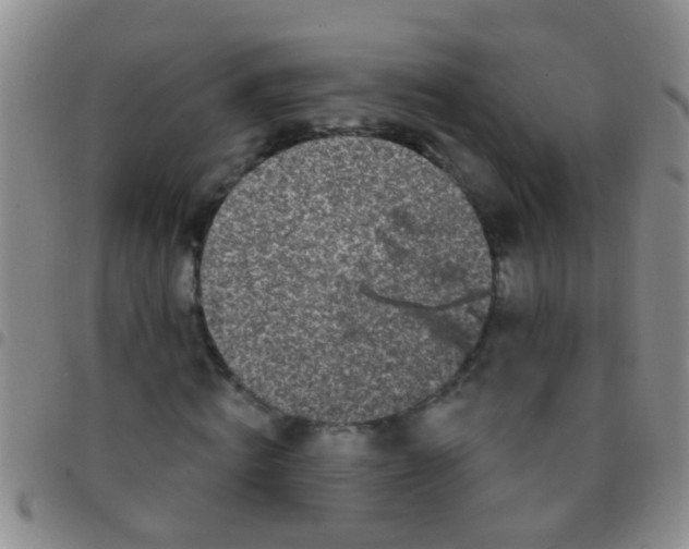 X0000097510820200803142039