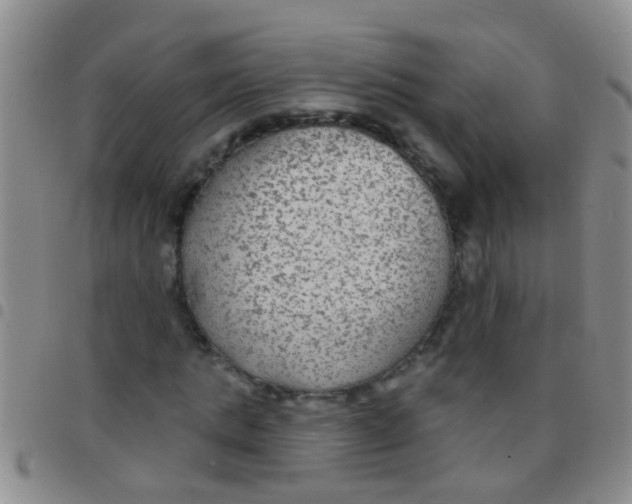 X0000097510821200803142039