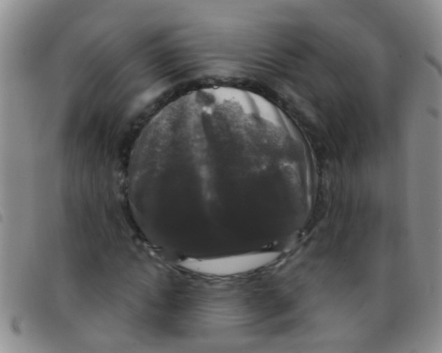 X0000097510822200803142039