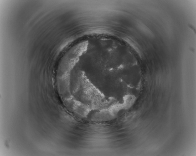 X0000097510823200803142039