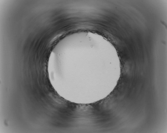 X0000097510824200803142039