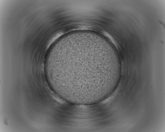 X0000097510827200803142039