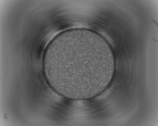 X0000097510828200803142039