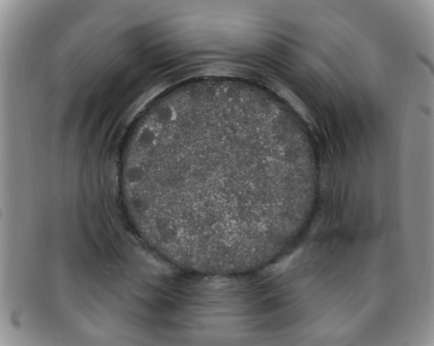 X0000097510829200803142039