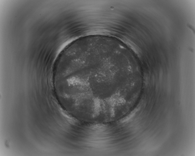 X0000097510830200803142039