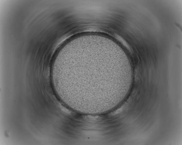 X0000097510831200803142039