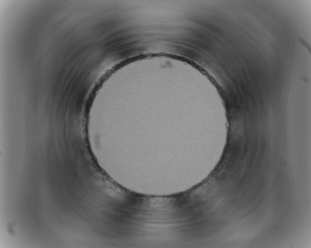 X0000097510832200803142039