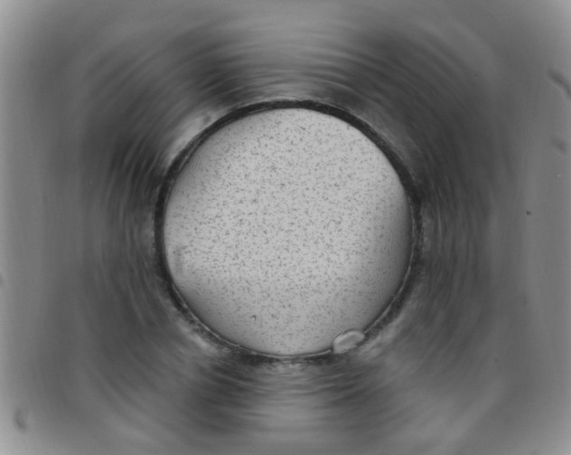 X0000097510834200803142039