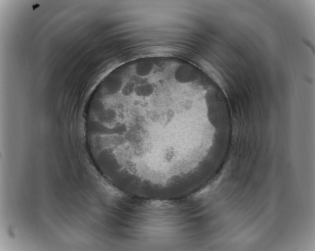 X0000097510835200803142039