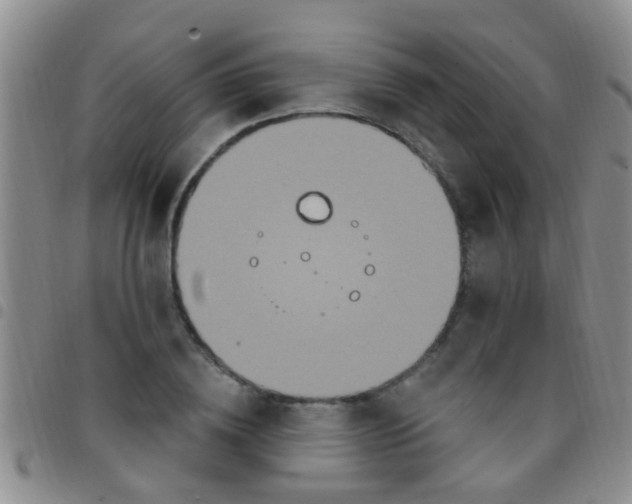 X0000097510836200803142039