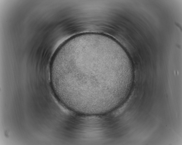 X0000097510838200803142039