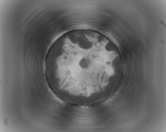 X0000097510839200803142039