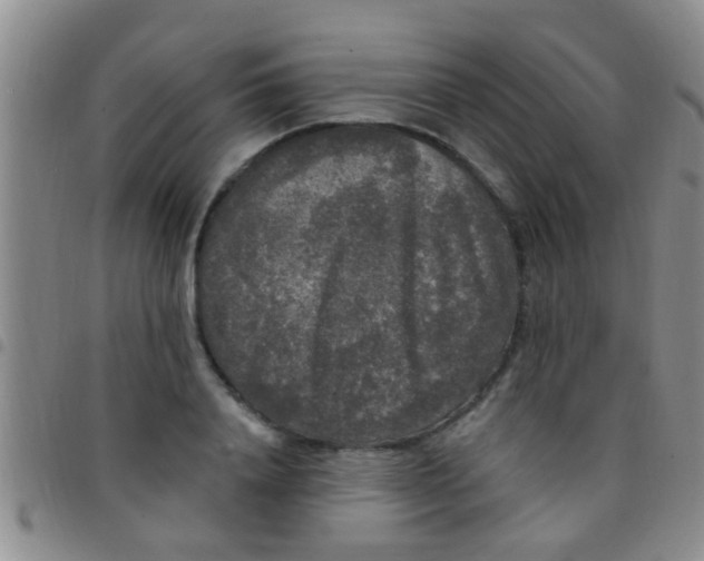 X0000097510840200803142039