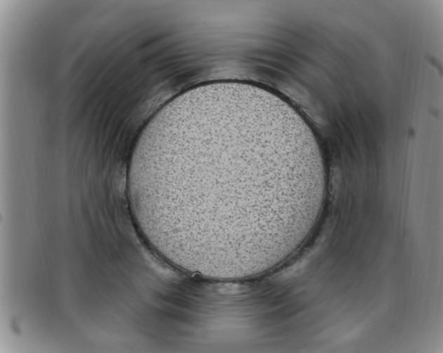 X0000097510841200803142039