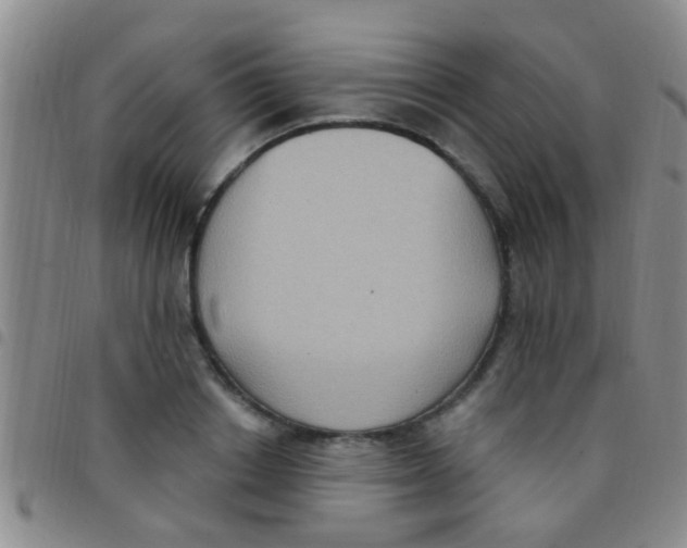 X0000097510842200803142039