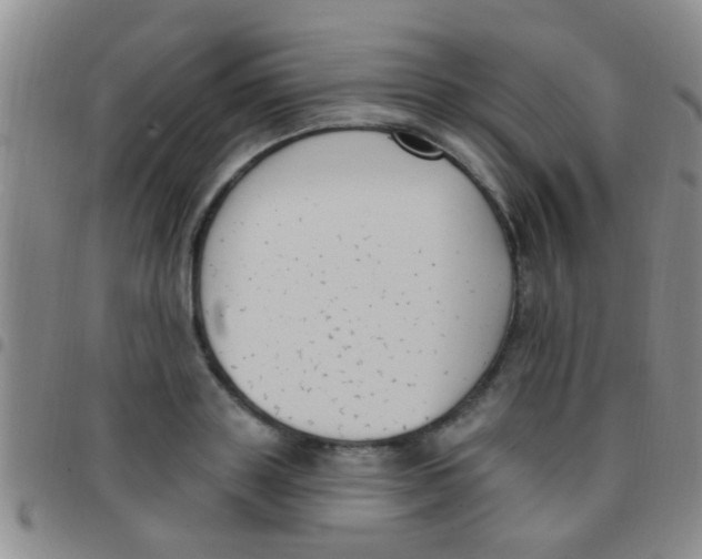 X0000097510843200803142039