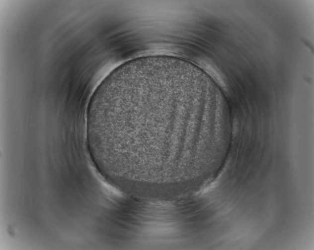 X0000097510844200803142039