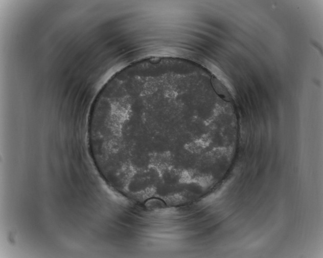 X0000097510845200803142039