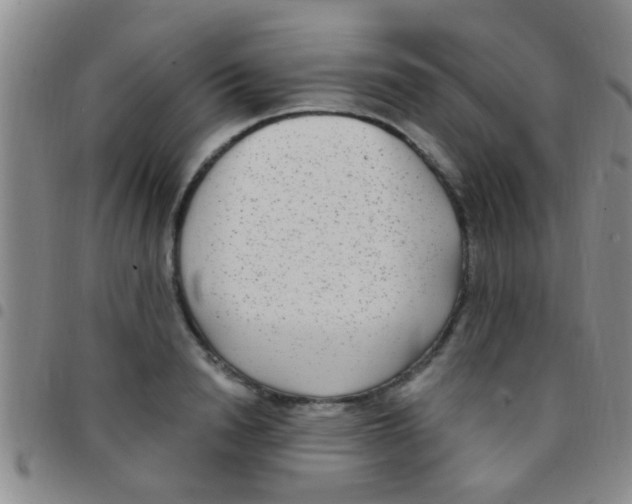 X0000097510846200803142039