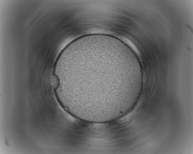 X0000097510847200803142039