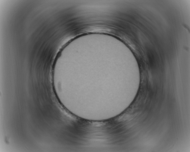 X0000097510848200803142039