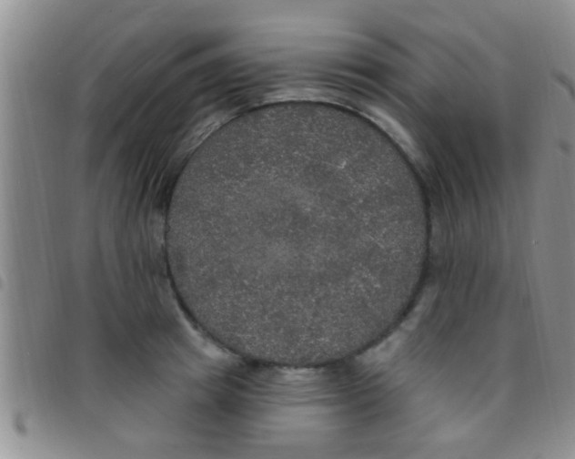 X0000097510849200803142039