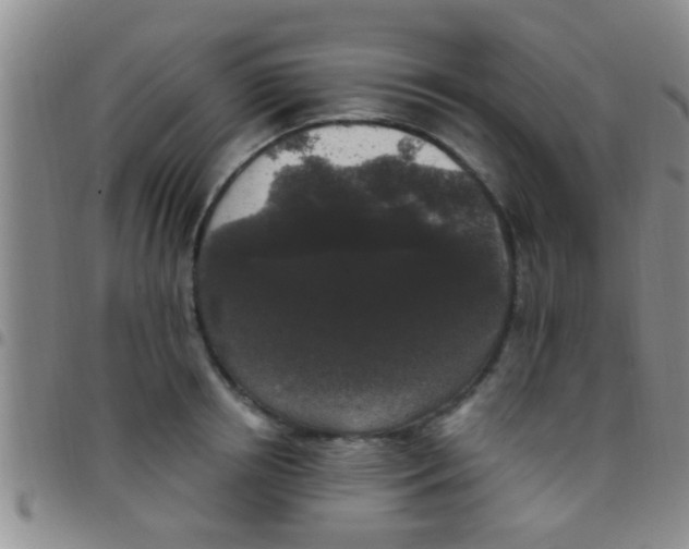 X0000097510850200803142039