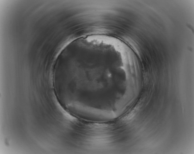 X0000097510851200803142039