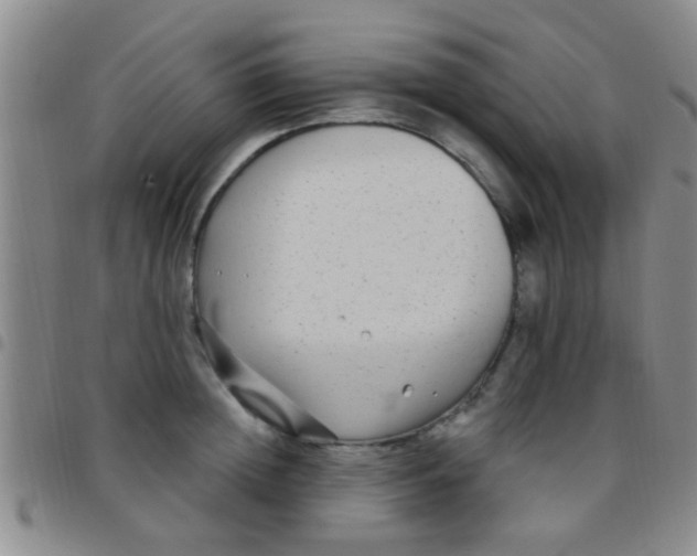 X0000097510852200803142039