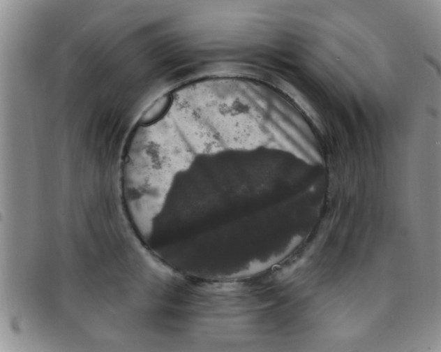 X0000097510853200803142039