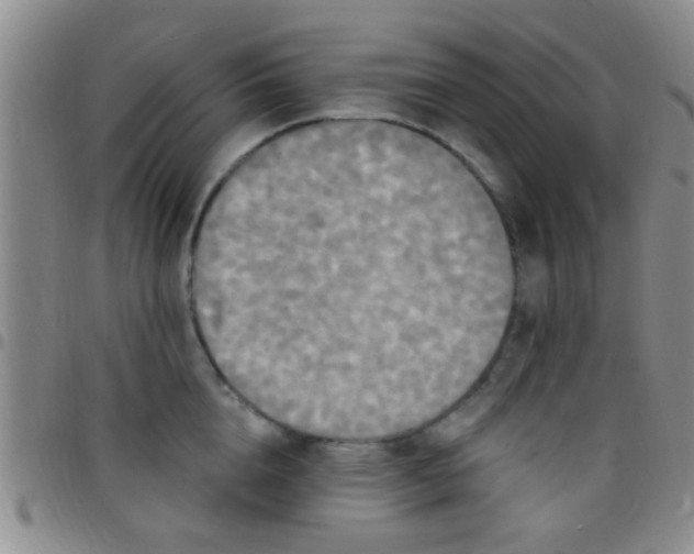 X0000097510856200803142039