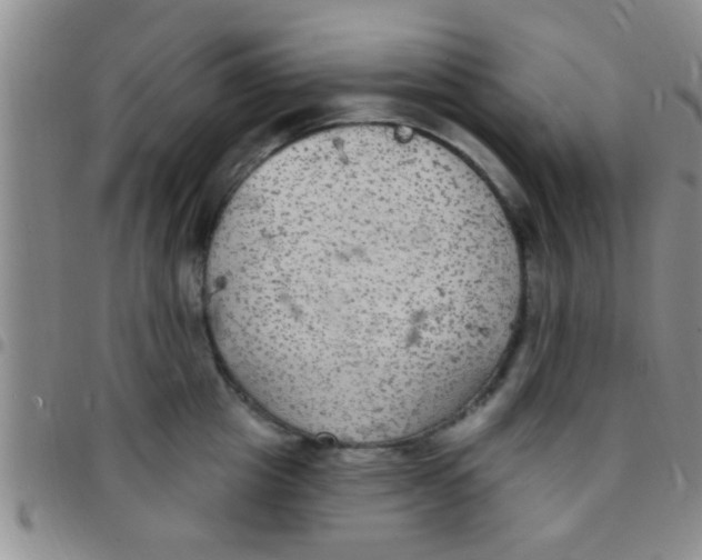 X0000097510857200803142039