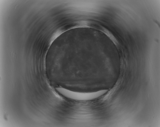 X0000097510858200803142039