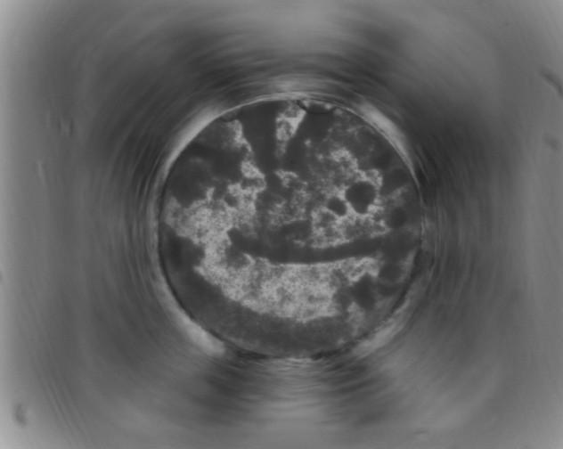 X0000097510859200803142039