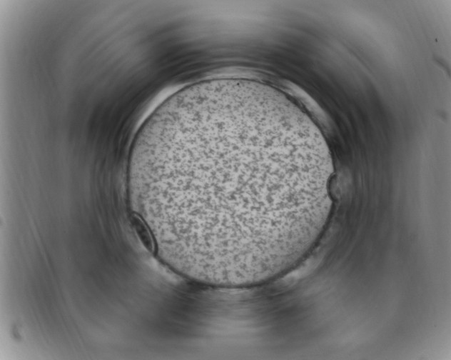 X0000097510860200803142039