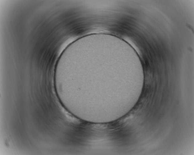 X0000097510861200803142039