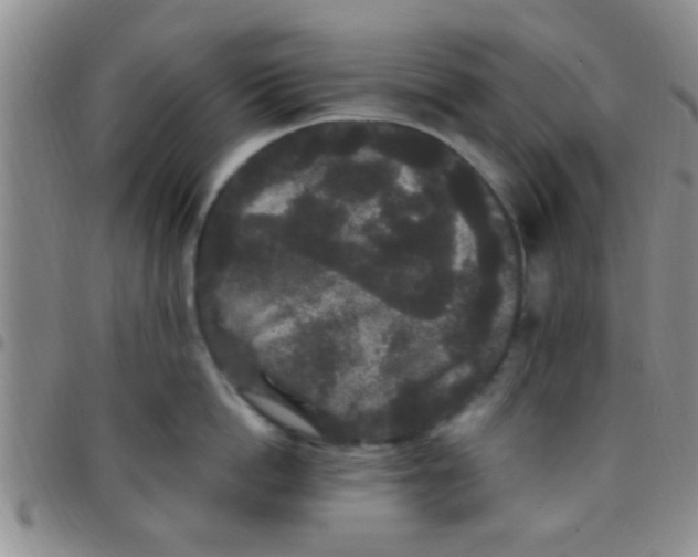 X0000097510862200803142039