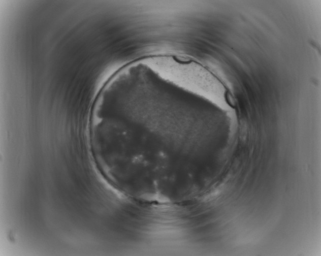 X0000097510863200803142039