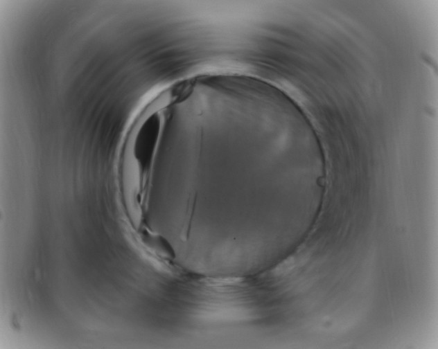 X0000097510864200803142039