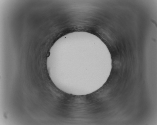 X0000097510865200803142039