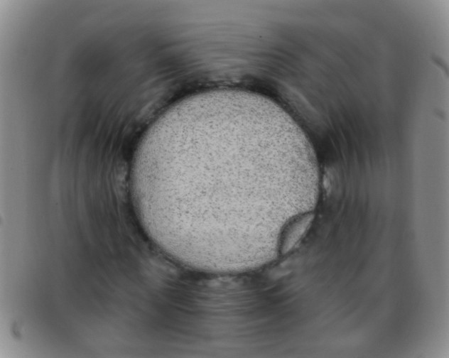 X0000097510867200803142039