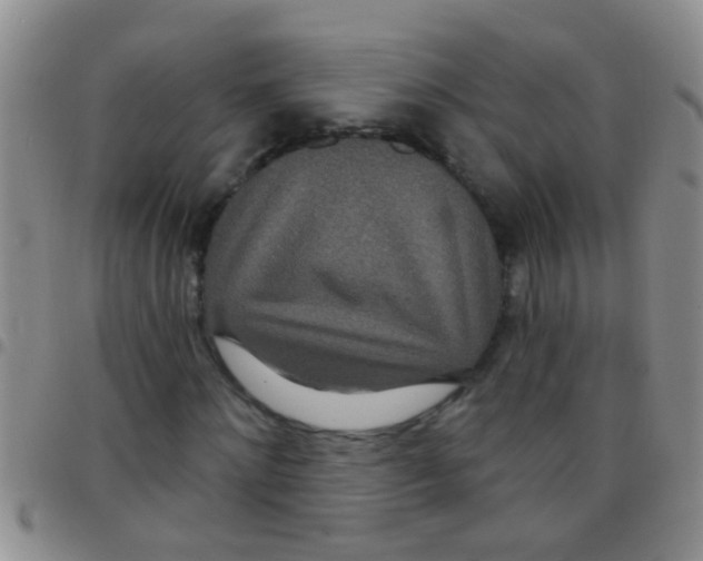 X0000097510868200803142039