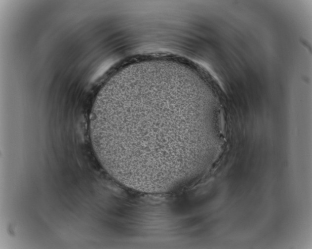 X0000097510871200803142039